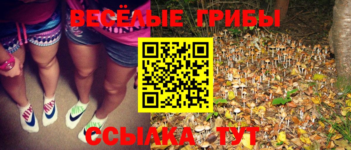 Альфа ПВП СК кристаллы  Канабис  Вейп ТГК  Вход с VPN  Боровичи  КОКАИН  Меф МЯУ МЯУ   ГАШ  НБОМе 