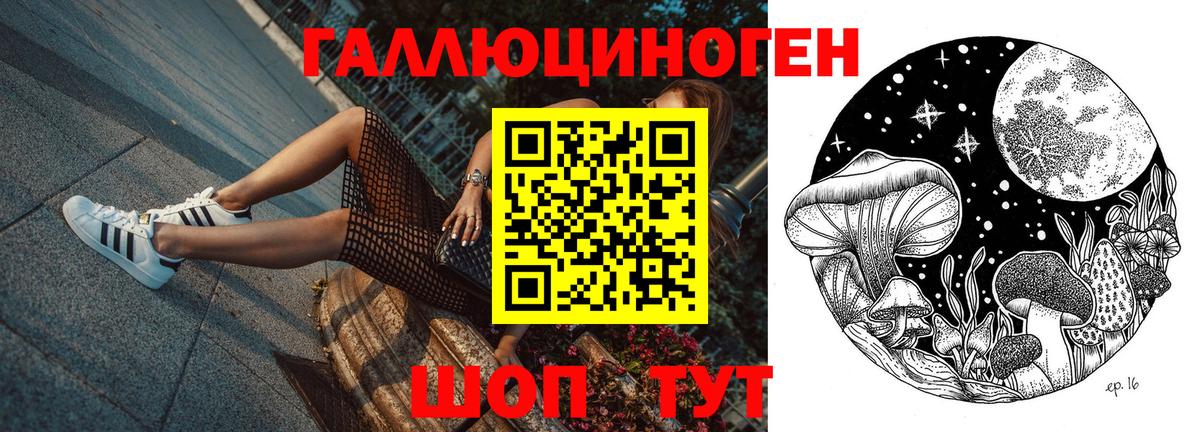 Боровичи  Псилоцибиновые грибы мицелий  Вход с VPN 